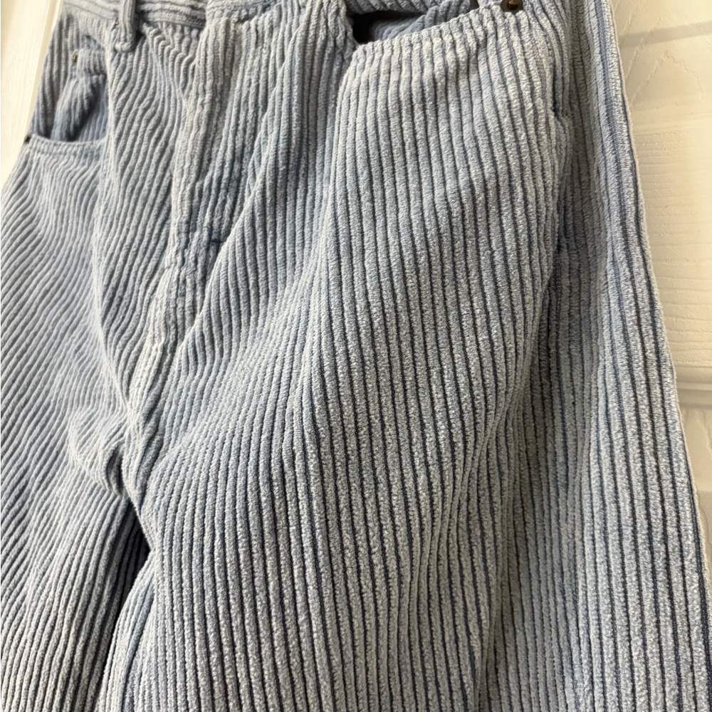 BDG Blue Wide Leg corduroy - Picture 5 of 5